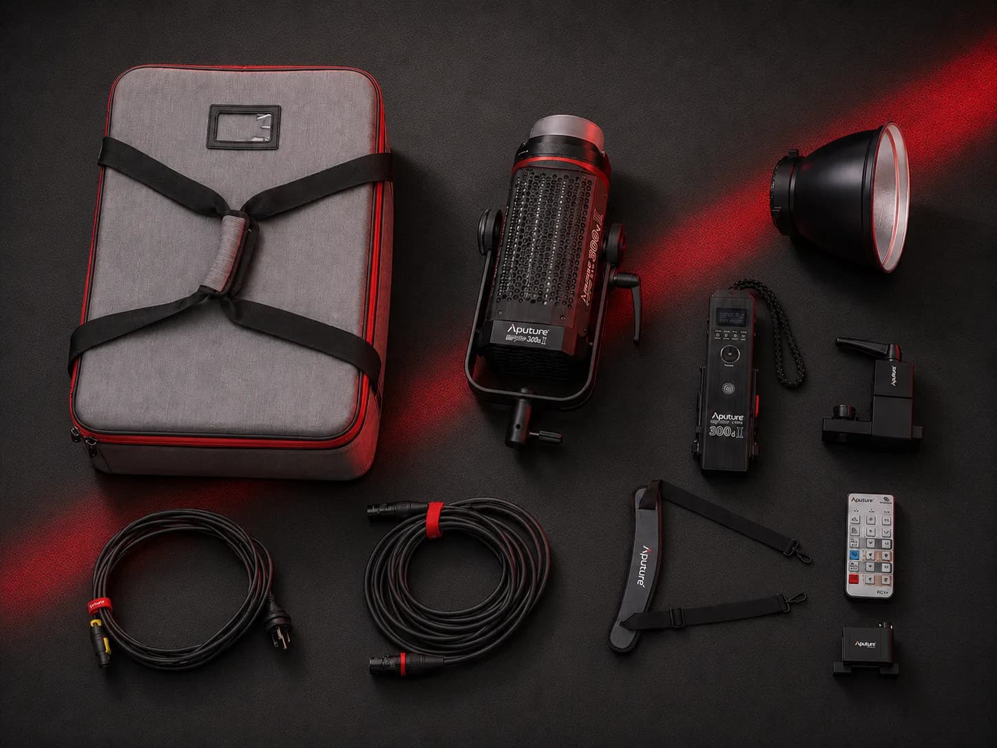 Aputure LS 300d II — photo 3