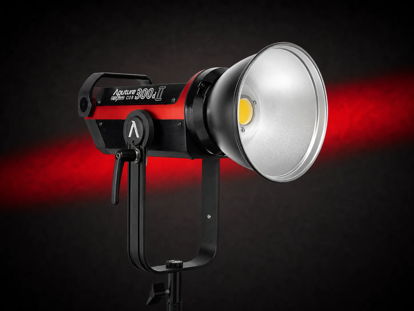 Aputure LS 300d II