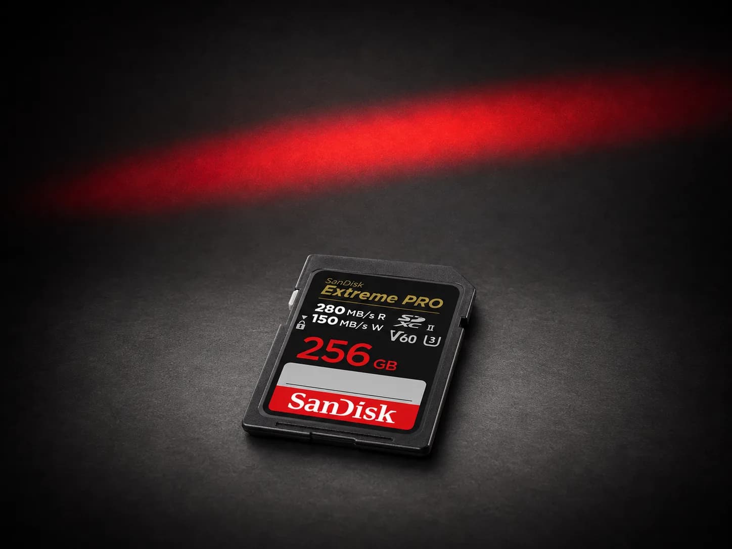 256GB SD Card